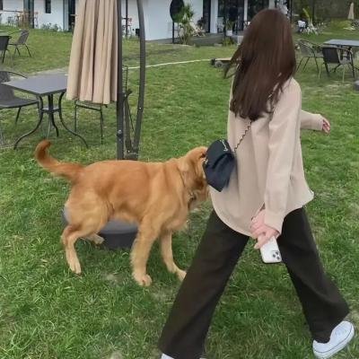 赵氏孤儿 动画版